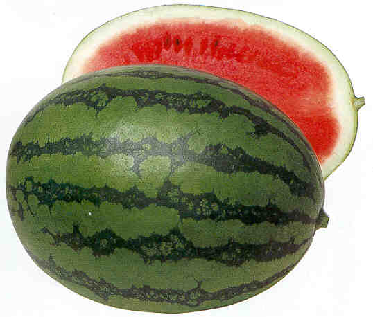     d7302watermelon.jpg